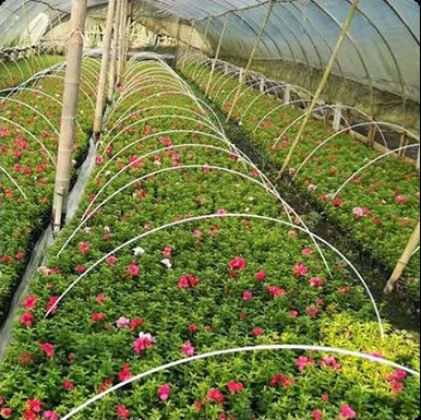 FRP plant support rod application
