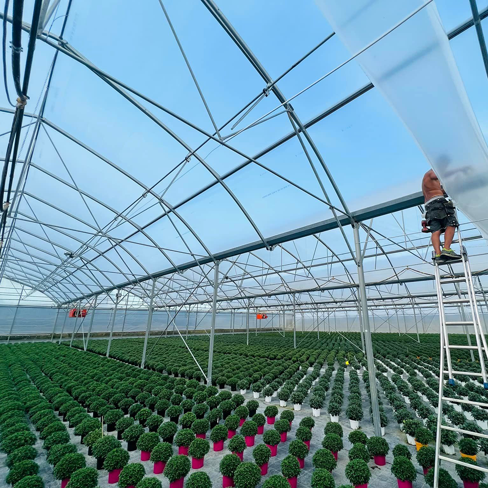 Greenhouse covering film detail