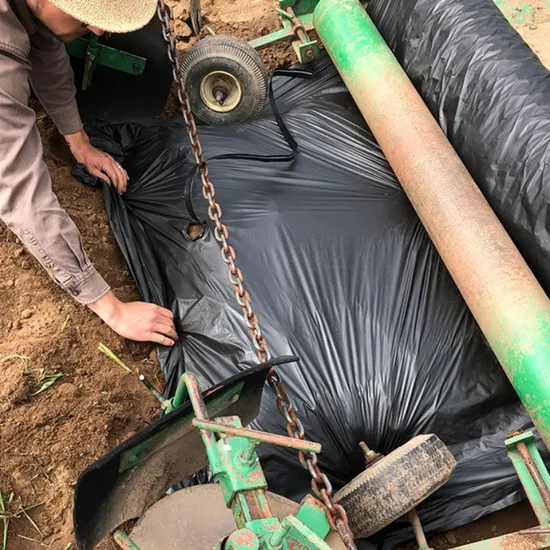 Mechanical laying of black agricultural mulch film