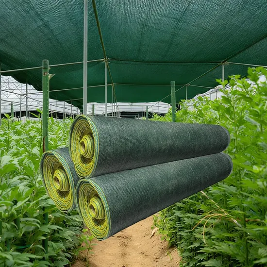 Rolls of green HDPE shade net inside a shade house