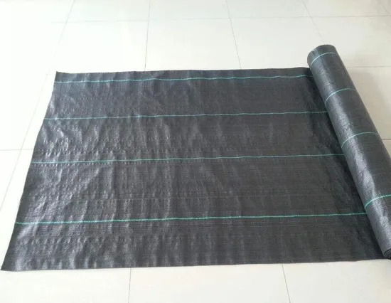 Weed control fabric application in plantation