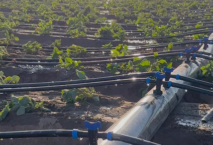 Irrigation Systems
