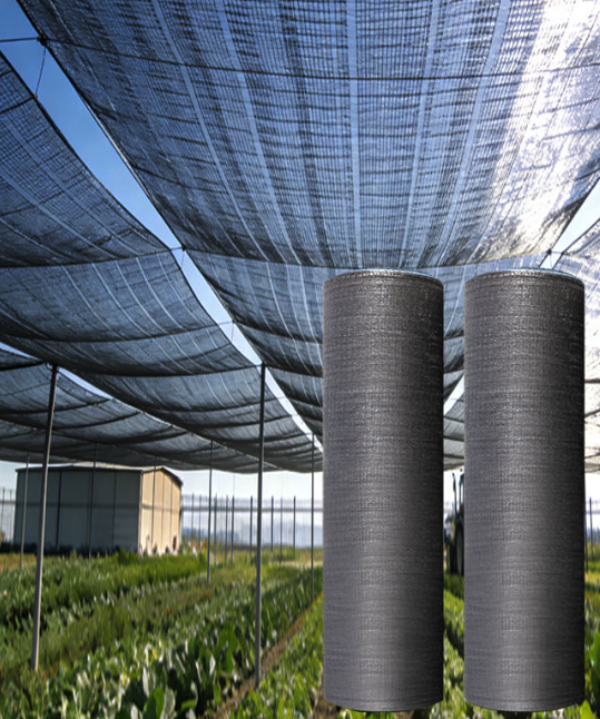 Greenhouse Film