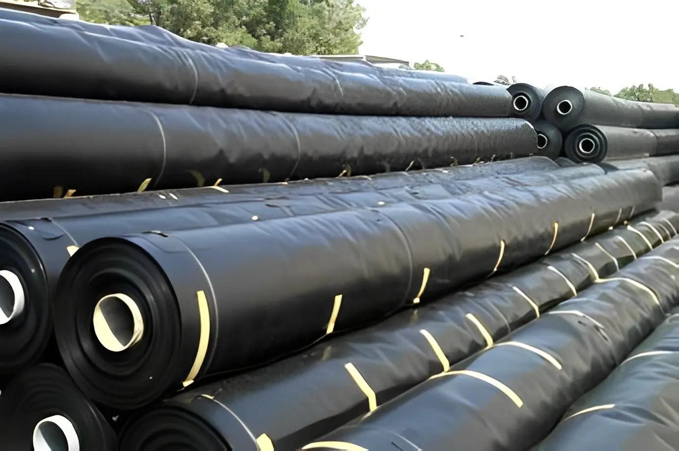 Geomembrane