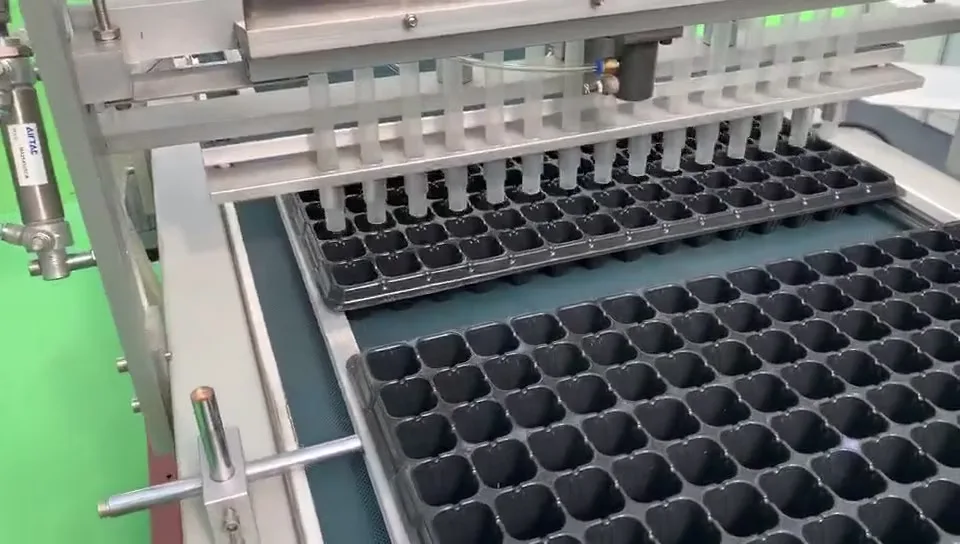 Manufacture Seedling Trays