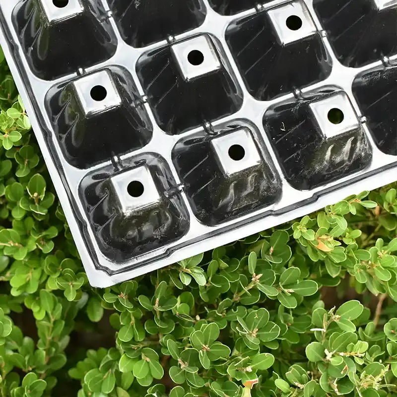 Seedling tray