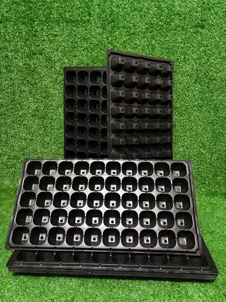Seedling tray