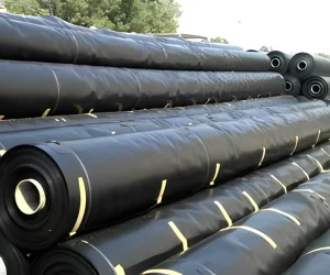 Geomembrane