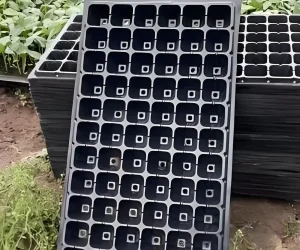 Seedling tray