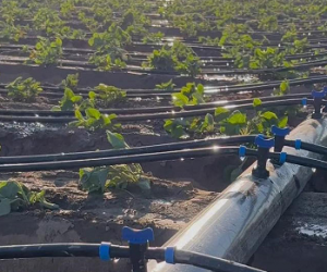 Irrigation Systems